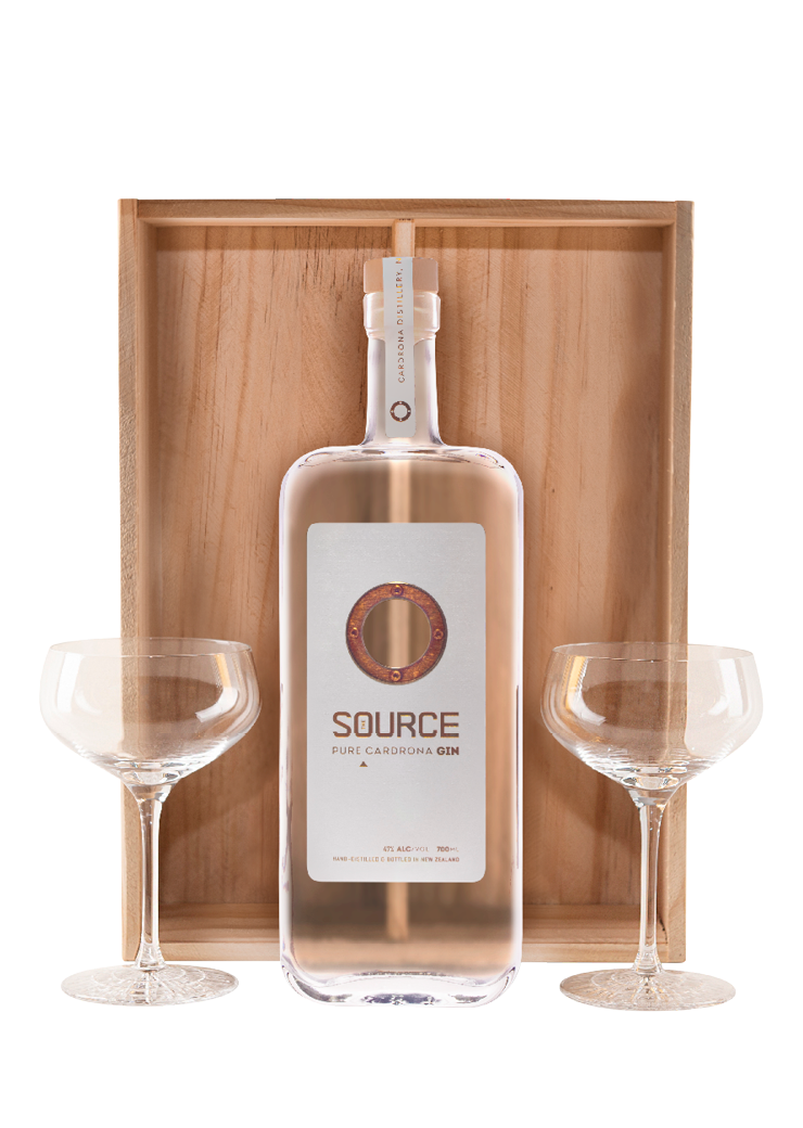 The Source Cardrona Gin 2 Martini Glasses