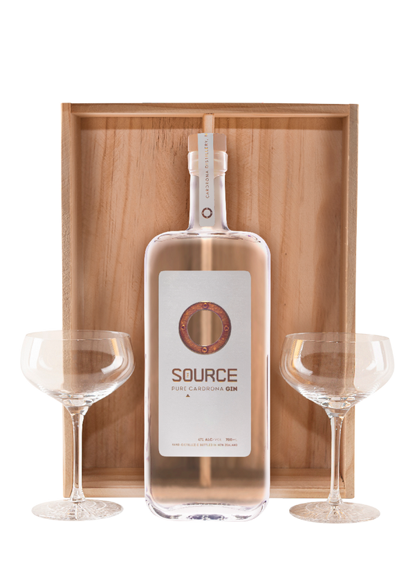 The Source Cardrona Gin 2 Martini Glasses